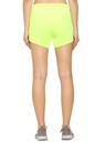 Dolphin Short Basics